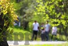 国产欧美日产一区二区三区-国产影视的多元化探索，一区、二区、三区的文化与市场分析