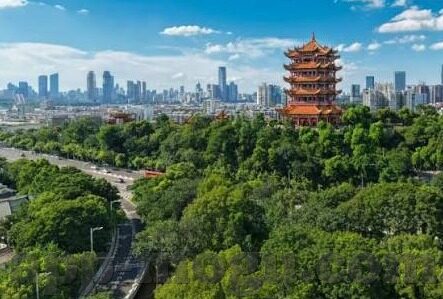 果冻传媒app-探索果冻传媒app，数字娱乐新纪元的创新实践