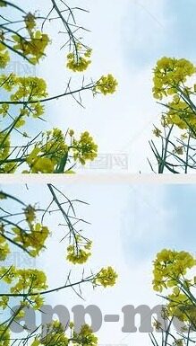 麻豆91免费版-麻豆91免费版，技术传播的双刃剑