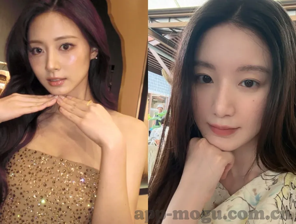 麻豆视频传媒入口-解锁视觉盛宴，探索麻豆视频传媒的魅力之旅