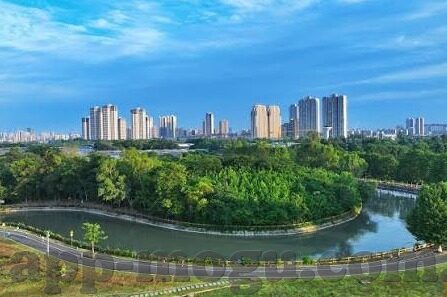 哪里可以下载糖心app-寻找正版与健康的下载渠道，糖心APP的获取之道